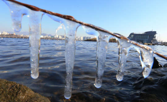 경기 북부와 강원도 중북부    지방에 새해 첫 한파주의보가 내려지고 서울 아침 기온이 영하 5.8도까지 떨어지며 전국 대부분 지역이 영하권에 머문 7일 서울 여의도 한강변 나뭇가지에 고드름이 맺혀 있다.      수도권기상청은 북서쪽에서 찬 공기가 남하하면서 당분간 기온이 떨어지겠고 특히 내륙을 중심으로 최저기온이 영하 10도 아래로 떨어져 매우 추울 것으로 전망했다.